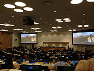 Mr. Wu Hongbo, Under-Secretary General for Economic and Social Affairs and Secretary-General of the International Conference on Small Island Developing States, gives the opening remarks at the Fourth Session of the United Nations Committee of Experts on Global Geospatial Information Management, 6 August 2014.