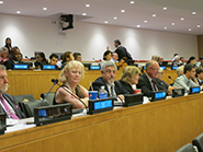 IAG delegate (and president) Chris Rizos with US delegate Ruth Neilan; UN Committee of Experts on Global Geospatial Information Management, 6 August 2014.